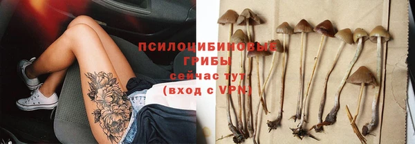 стафф Белокуриха