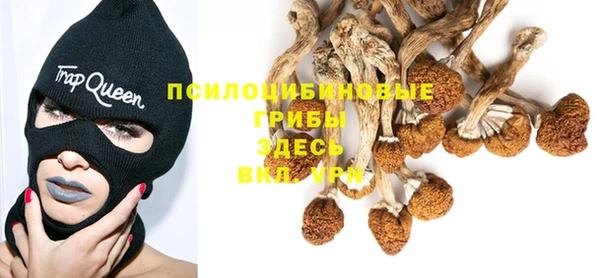 стафф Белокуриха