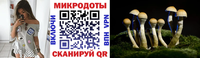 Галлюциногенные грибы мухоморы  Купить где  Комсомольск 
