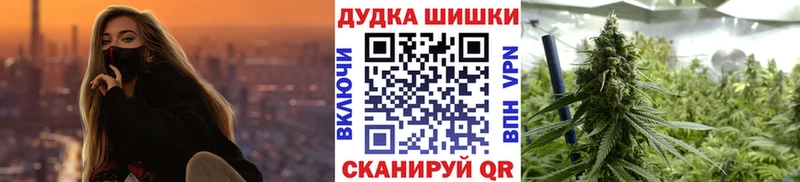 Купить закладки  Комсомольск  Бошки Шишки конопля 